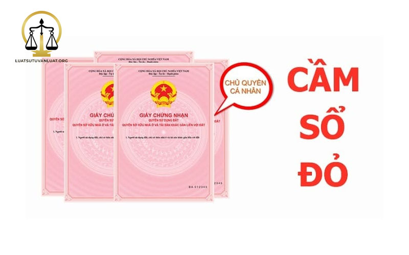 cầm sổ đỏ cá độ